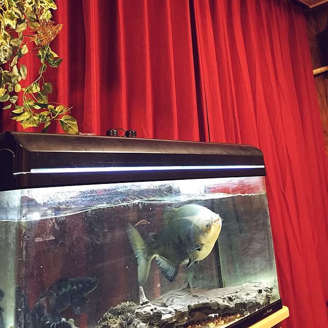 chi-taroさんの実例写真