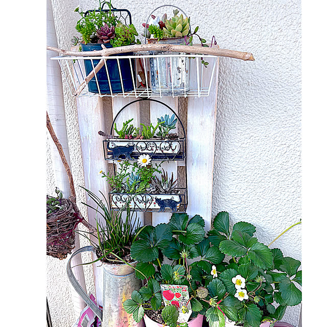 syutmmさんの部屋