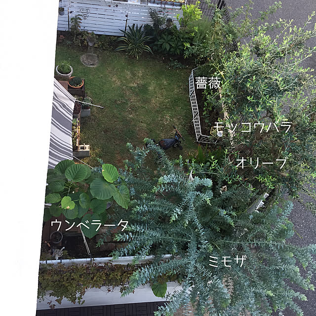yupponさんの実例写真