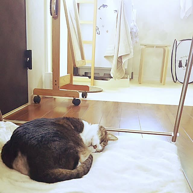 37さんの実例写真