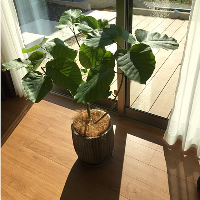 Boraさんの実例写真
