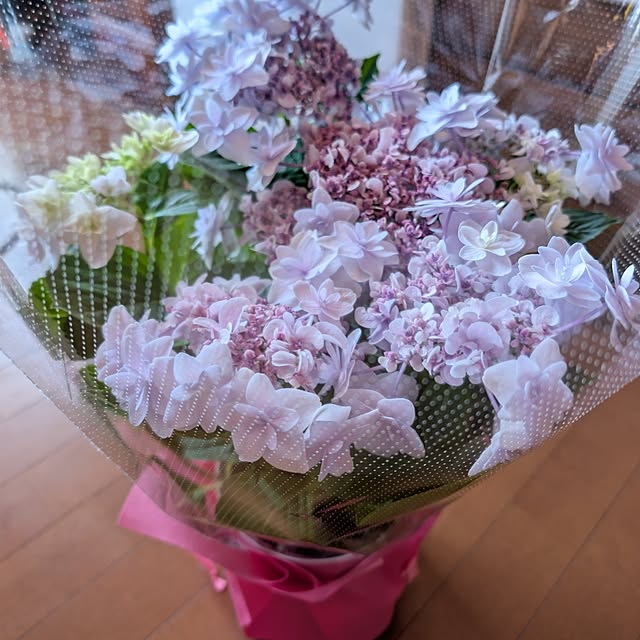 fuchan0930さんの部屋