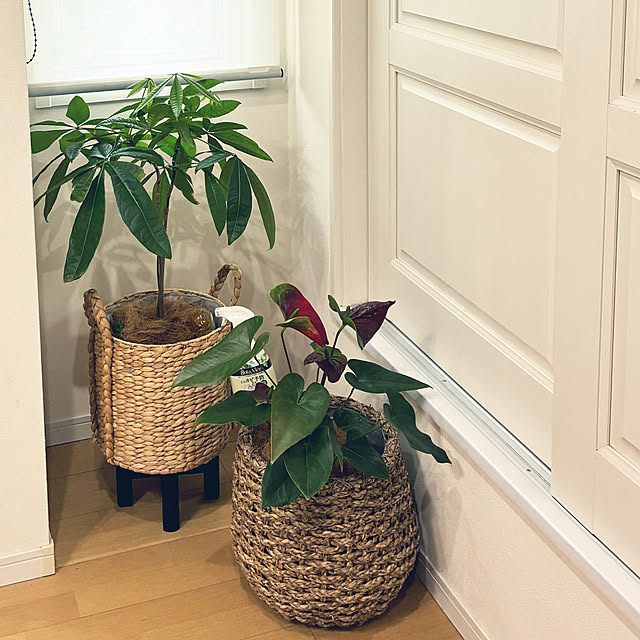 dmamaさんの部屋