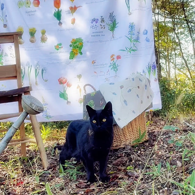 weさんの実例写真