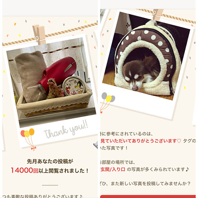 chIoeさんの実例写真