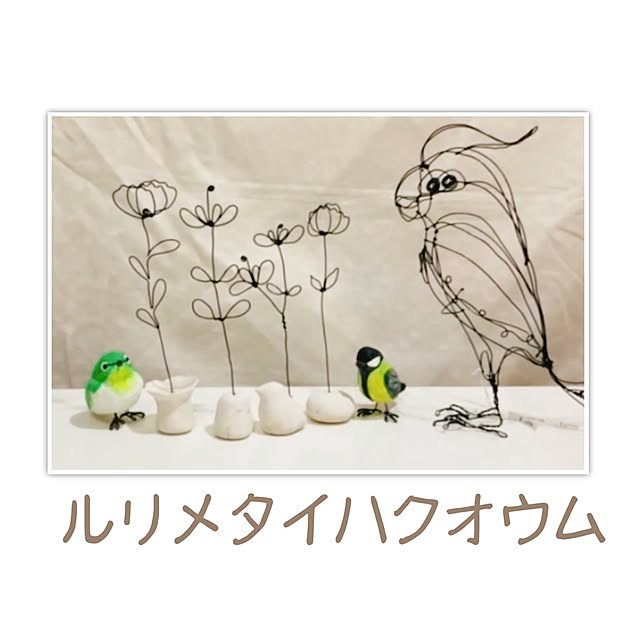 naoさんの実例写真