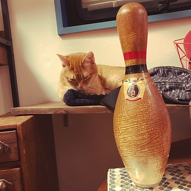 amo69xxさんの実例写真
