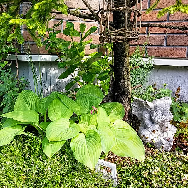 demetanさんの実例写真