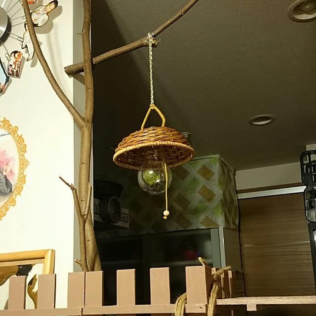 Masamiさんの実例写真