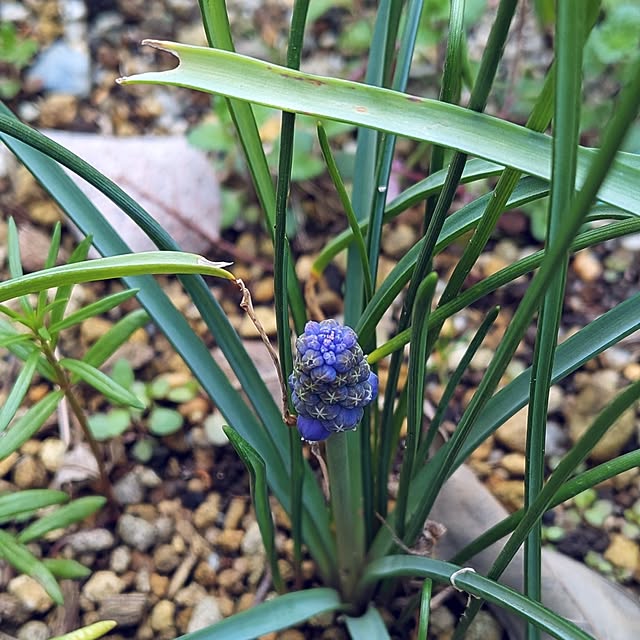 Bienvenueさんの部屋