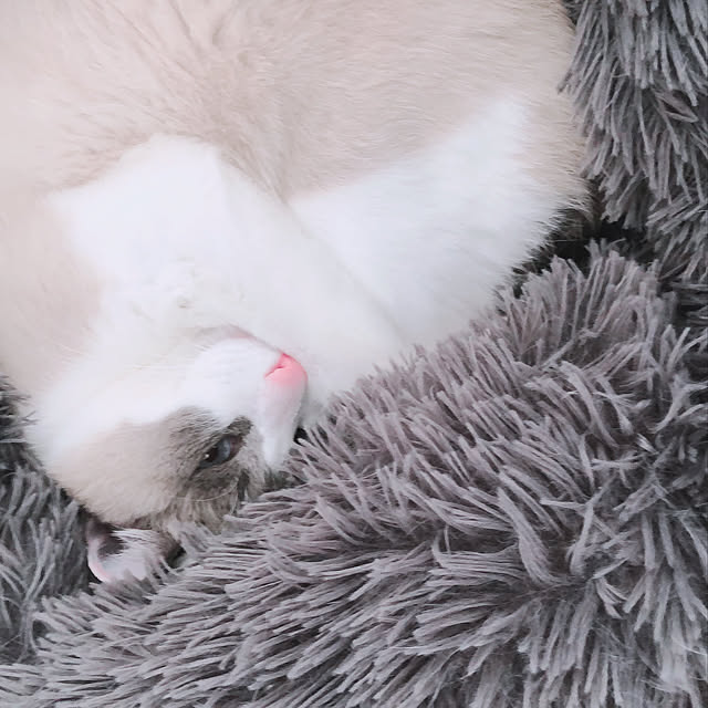 milkcocoaさんの実例写真