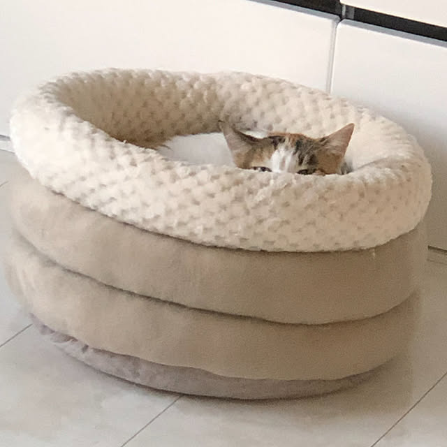 hiroさんの実例写真