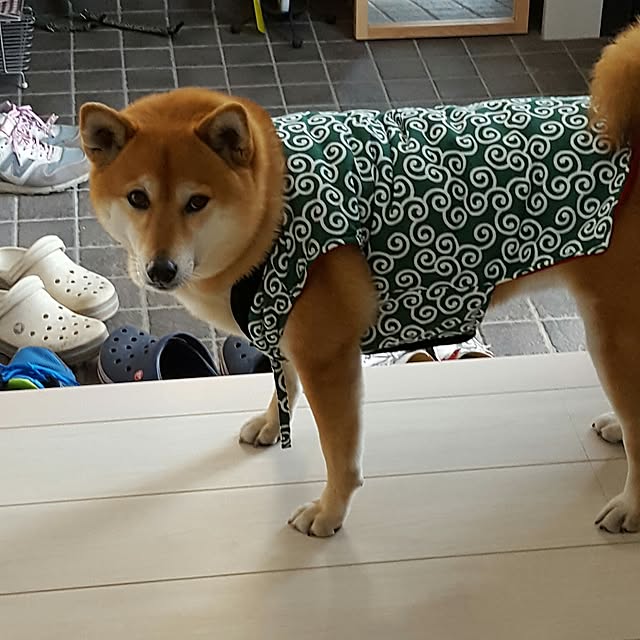 konatuさんの実例写真