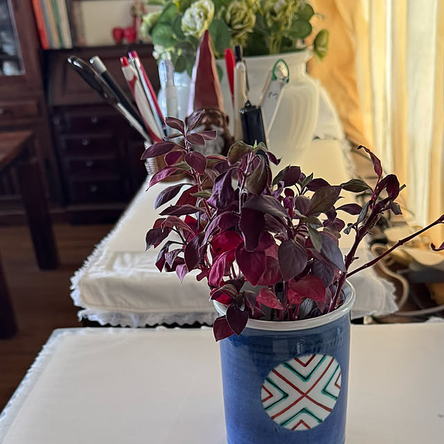 mamizaさんの部屋