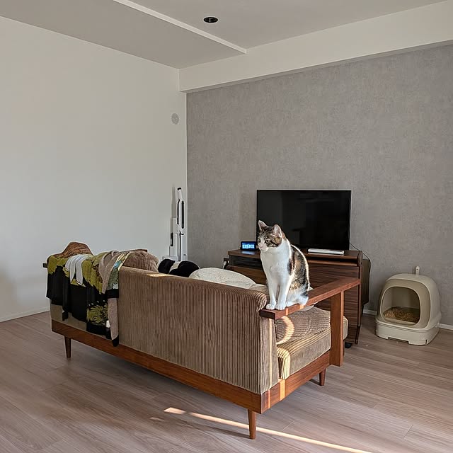 sinsinさんの実例写真