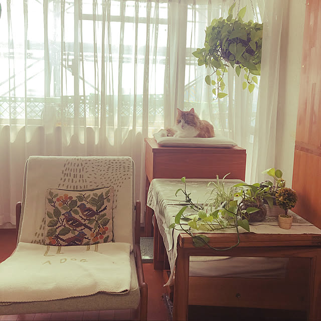 uchidaizuさんの実例写真