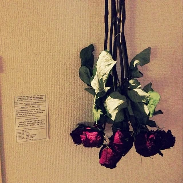 MMさんの実例写真