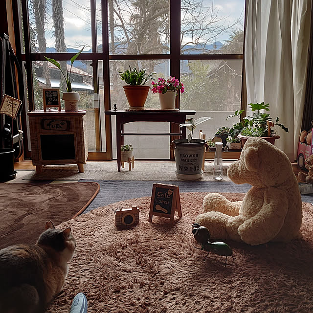 fukuさんの実例写真