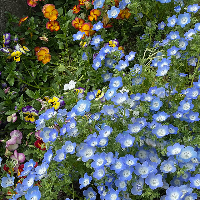 namecoさんの実例写真