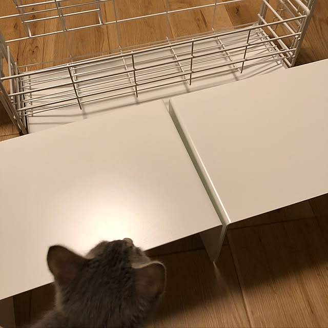 kuu511さんの実例写真