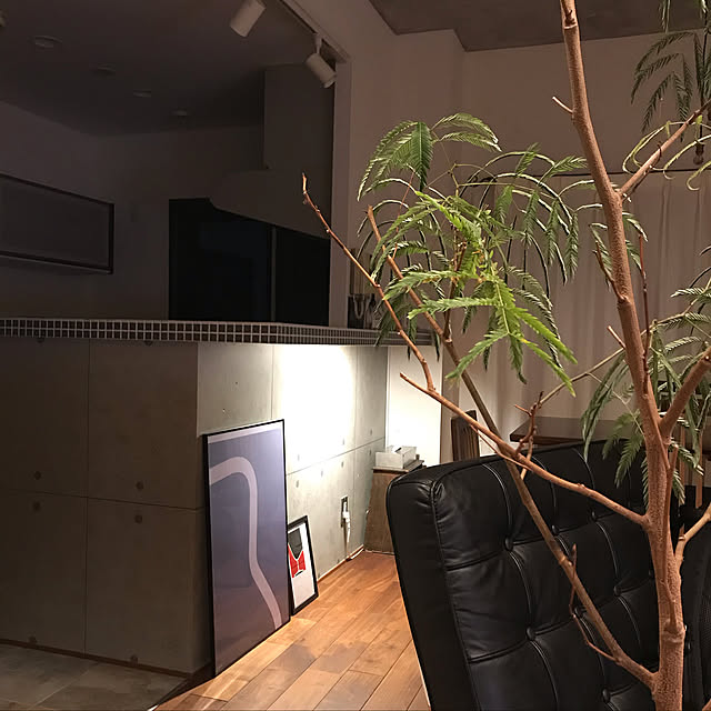 kenさんの実例写真