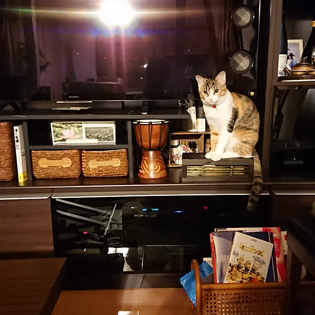akiさんの実例写真