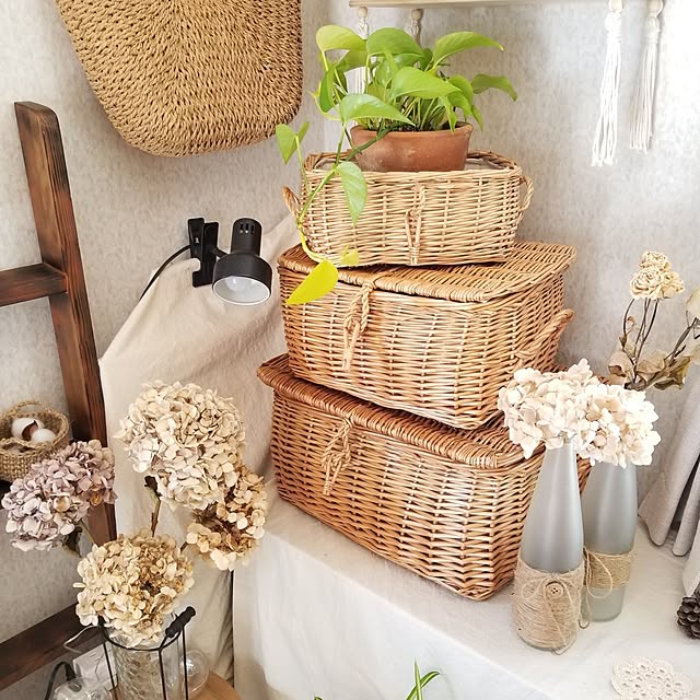 midoriさんの部屋