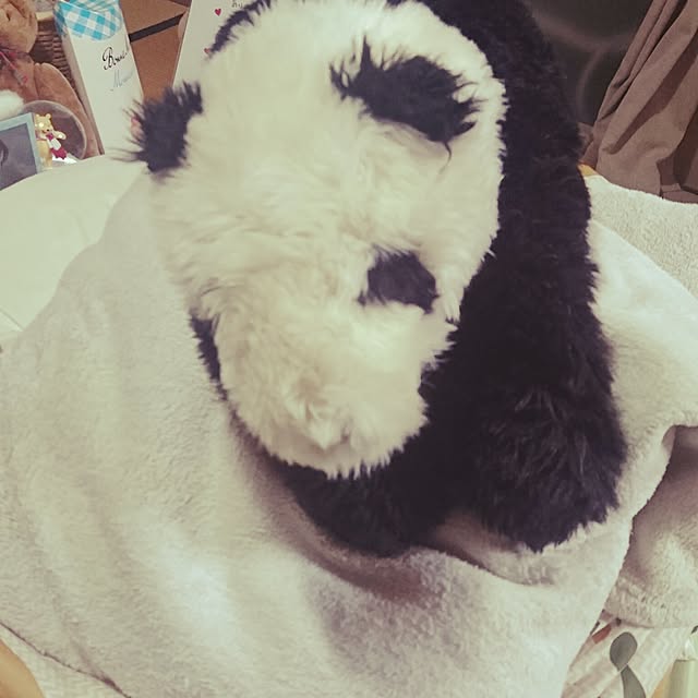 gomameさんの実例写真