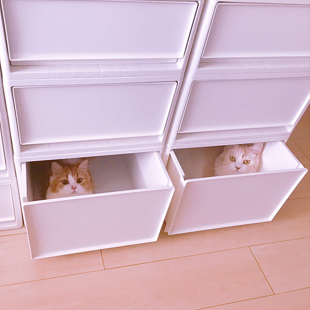 H.Tさんの実例写真