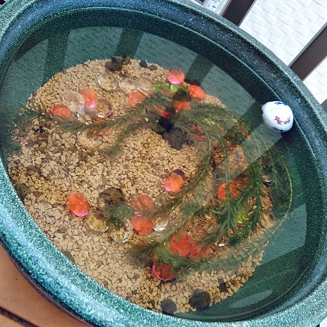 実例写真