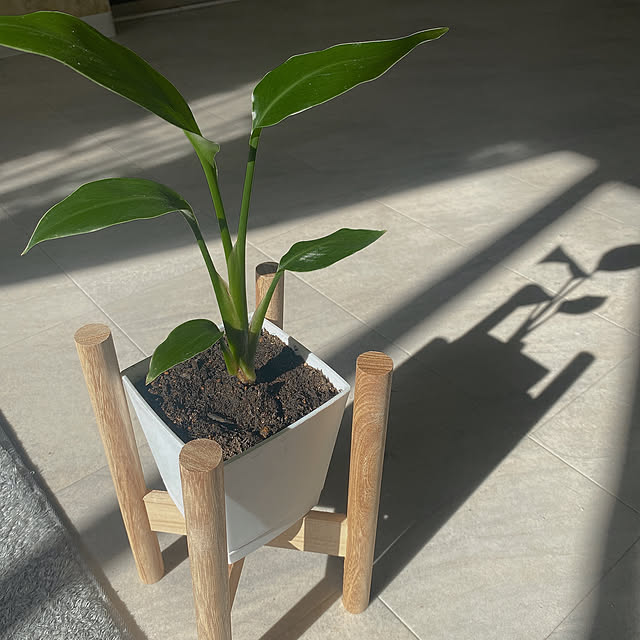 mii_home_39さんの実例写真