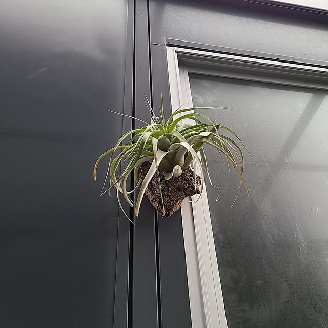 Rubiconさんの部屋