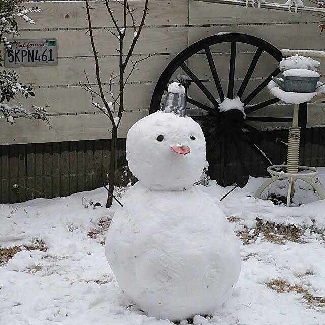 noriさんの実例写真