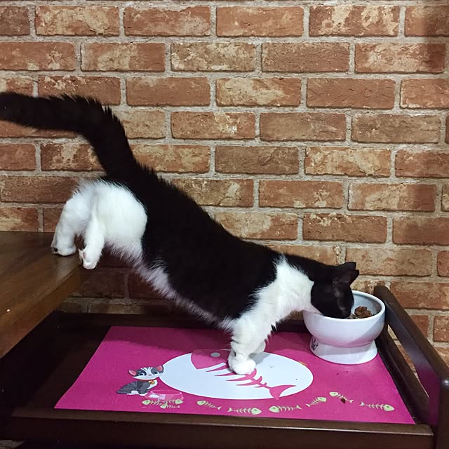 butachanさんの実例写真