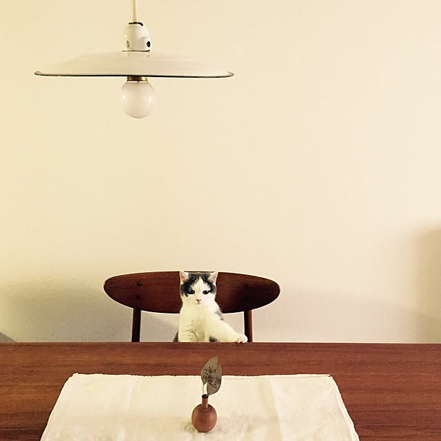 yunさんの実例写真