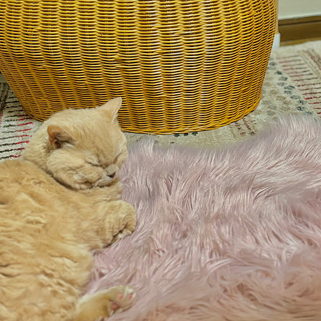 naokoさんの部屋