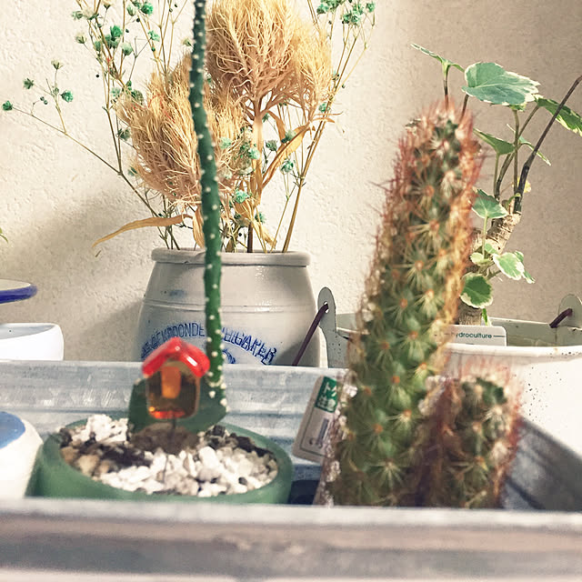 takakoさんの実例写真
