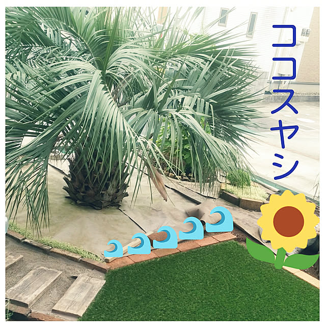 natumamaさんの実例写真