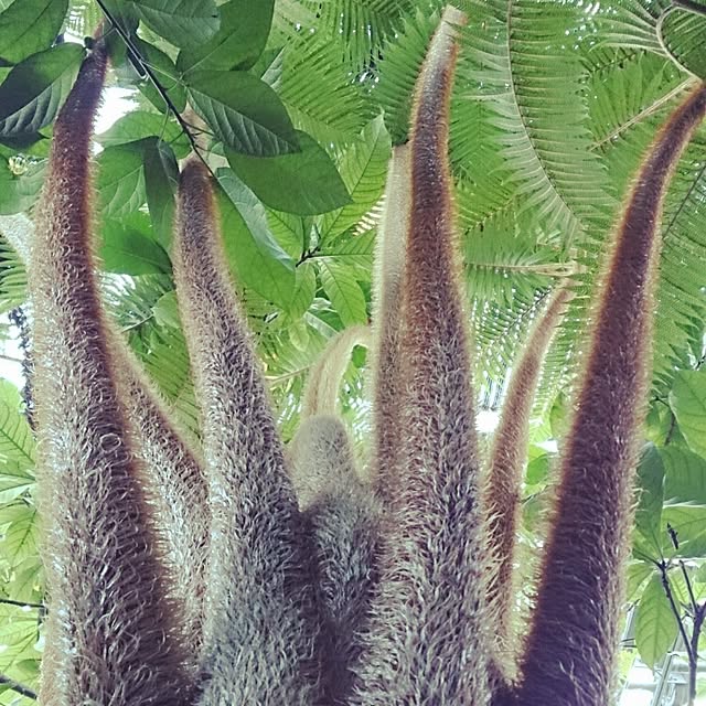 escalaさんの実例写真