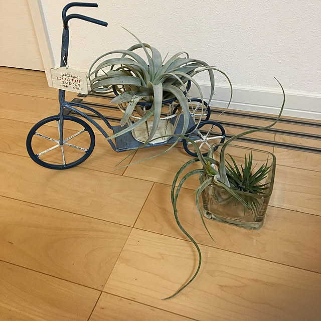 sanw2225719さんの実例写真