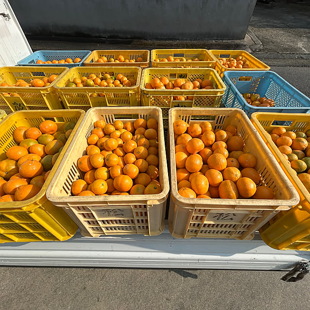 banbinaさんの部屋