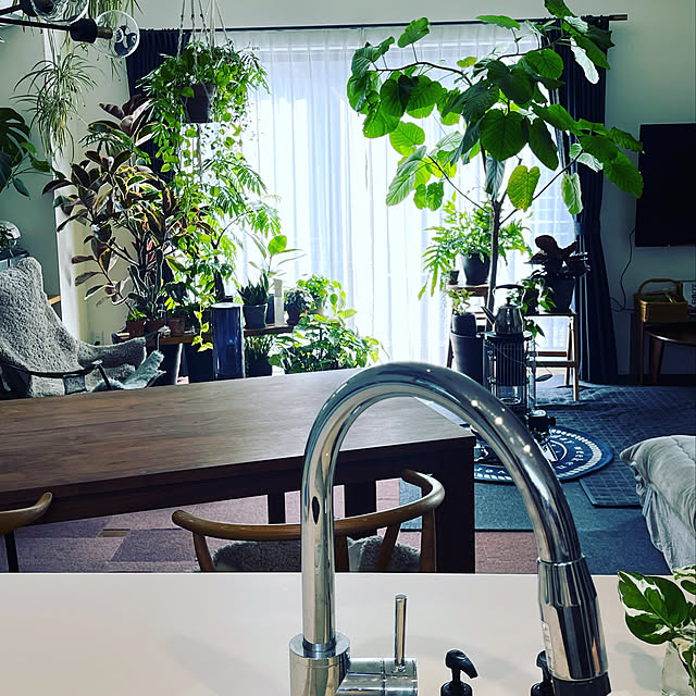 観葉植物のある暮らし/観葉植物/NO GREEN NO LIFE/部屋全体のインテリア実例 - 2022-09-18 23:19:20