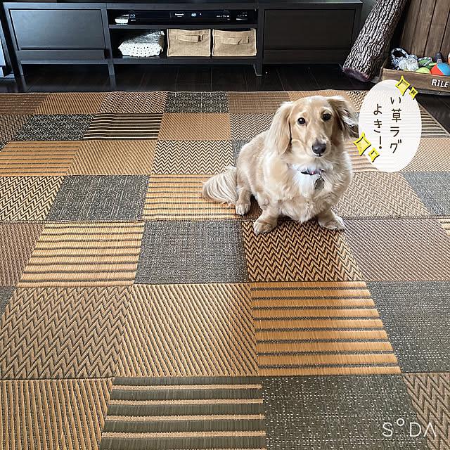 -Riley-mama.-さんの実例写真