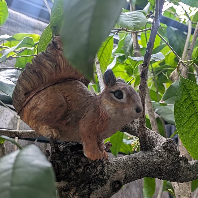 mori_6_12さんの部屋