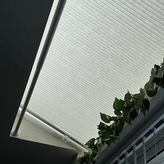 Rainyさんの部屋