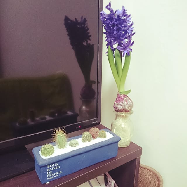 erimmyさんの実例写真