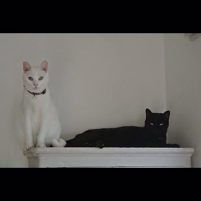 S-CUBEさんの実例写真