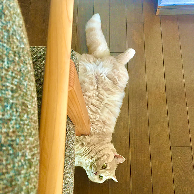 naokoさんの部屋