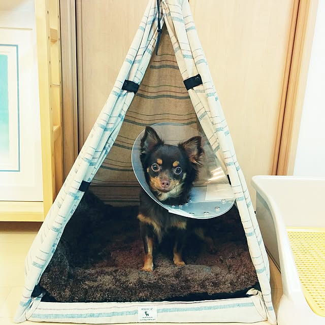 miyuさんの実例写真