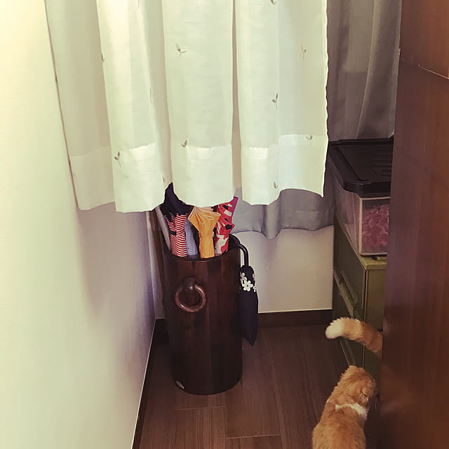 m.kantoh18_mikkoさんの実例写真